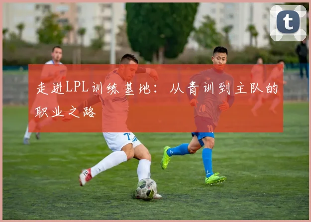 走进LPL训练基地:从青训到主队的职业之路